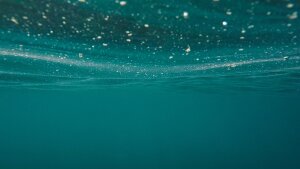 Ozean. Unter der Oberfläche ereignen sich lebensbedrohliche Vorgänge - zumindest für Kieselalgen.