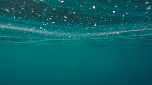 Ozean. Unter der Oberfläche ereignen sich lebensbedrohliche Vorgänge - zumindest für Kieselalgen.