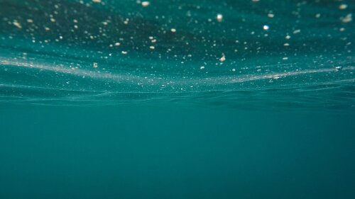 Ocean. Life threatening manoeuvres under its surface - at least for diatoms.