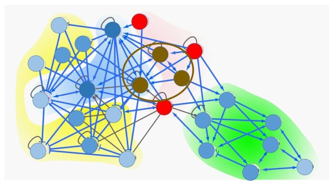 Proteine, deren herunter geregelte Gene einen Schutzeffekt zeigen (hier schematisch in rot dargestellt), werden auf einem zellulären Netzwerk abgebildet, sogenannte Repressormodule definiert (rot unterlegt), und Wirkstoffe identifiziert, deren Targets mit diesen Modulen überlappen (braun).