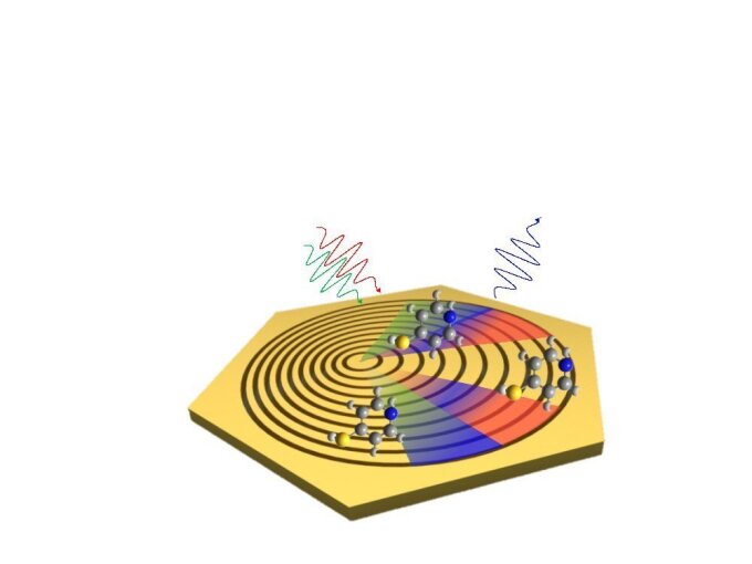 Schematische Darstellung der Nanoplattform zur Verbesserung der Raman-Spektroskopie. Durch die ringförmigen Nanostrukturen werden sowohl die Anregungsstrahlen (grün und rot) als auch die Raman-Strahlung (blau) kohärent gebündelt. Diese kohärente Bündelung wird durch die Oberflächenplasmonen in den farbigen Bereichen weiter begünstigt. Deren Wechselwirkung mit den zu untersuchenden Molekülen (Kugelmodelle) erhöht die Intensität des Raman-Signals um zwölf Größenordnungen.