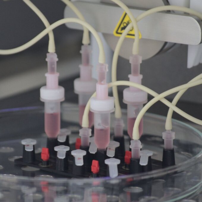 Das INSPIRE-Team entwickelt physiologische Infektionsmodelle menschlicher Organe.