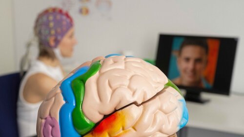 To demonstrate the experimental setup, Charlotta Eick wears a cap fitted with electrodes.
