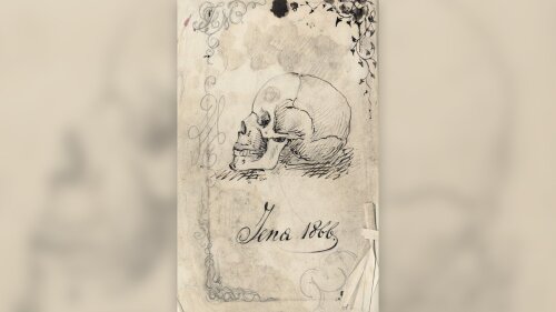 Diese Darstellung eines menschlichen Schädels fertigte Nikolai Miklucho-Maclay als Illustration zur Vorlesungsmitschrift bei Carl Gegenbaur an.