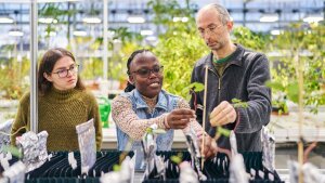 Angela Muraya (centre) examines her plants with Natia Geliashvili (left) and Bas E. Dutilh (right).