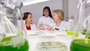 Prof. Dr Maria Mittag (r.), Dr Bertille Burgunter-Delamare (l.) and Dr Trang Vuong discuss their research findings on green algae of the genus Chlamydomonas.