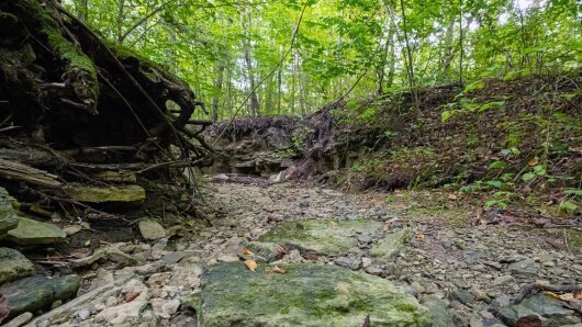 A view of the parched bed of the Leutra in Jena in the summer of 2022
