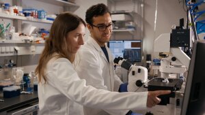 Two researchers stand in the laboratory at a microscope and look at a screen.